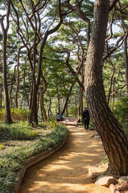 가을 단풍 명소 추천 BEST