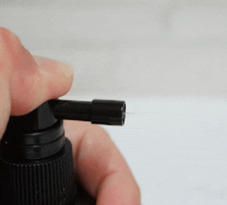 강아지 건강을 위한 매일 10분 생활 습관