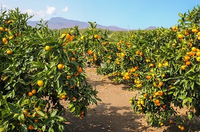 전국 가을축제 일정