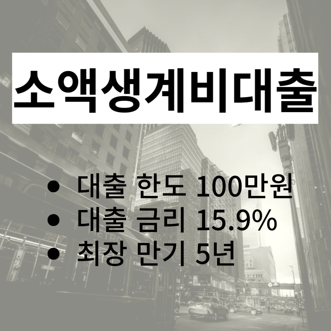 소액생계비대출