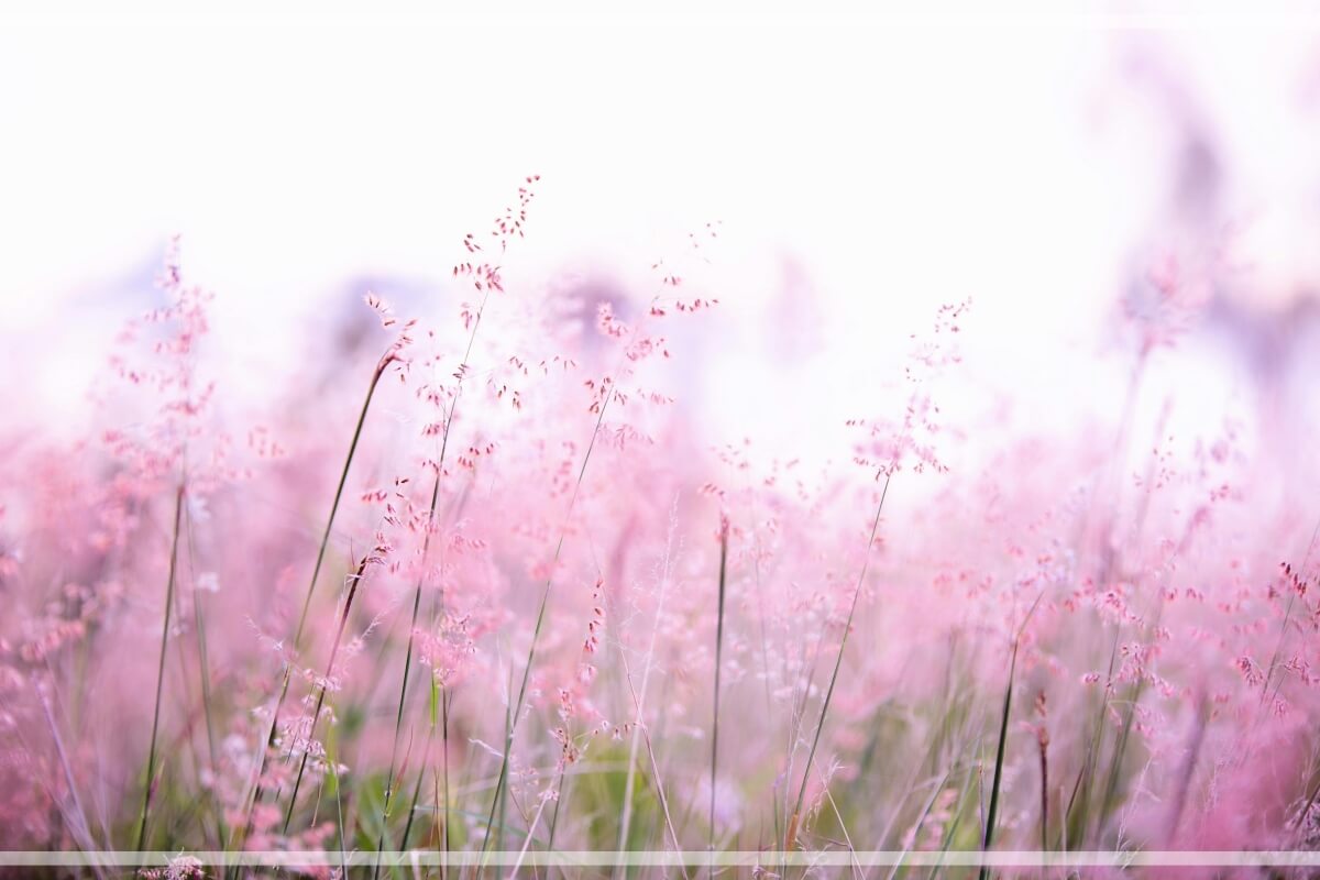 심리학으로 본 중년 동기부여 (마음, 성장, 행복) 관련 사진