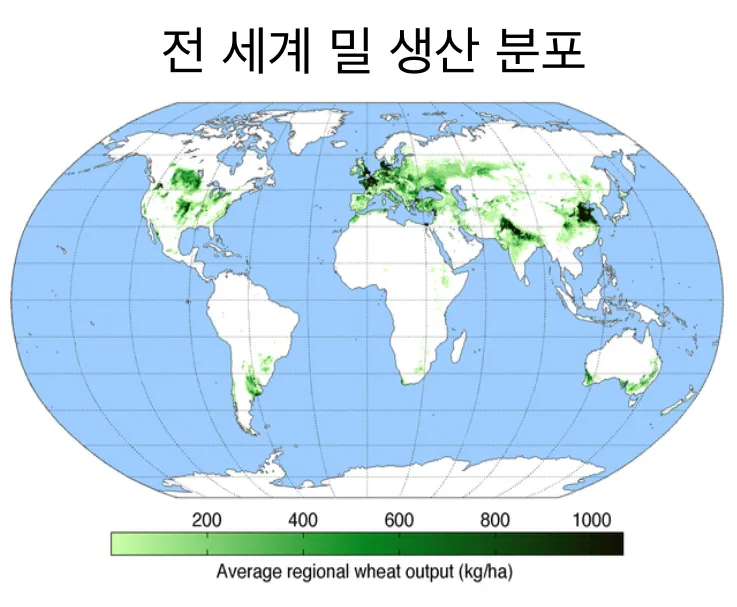 밀 재배 파종 밀도 월동 관리 도복 방지_4