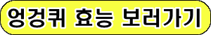 엉겅퀴 효능