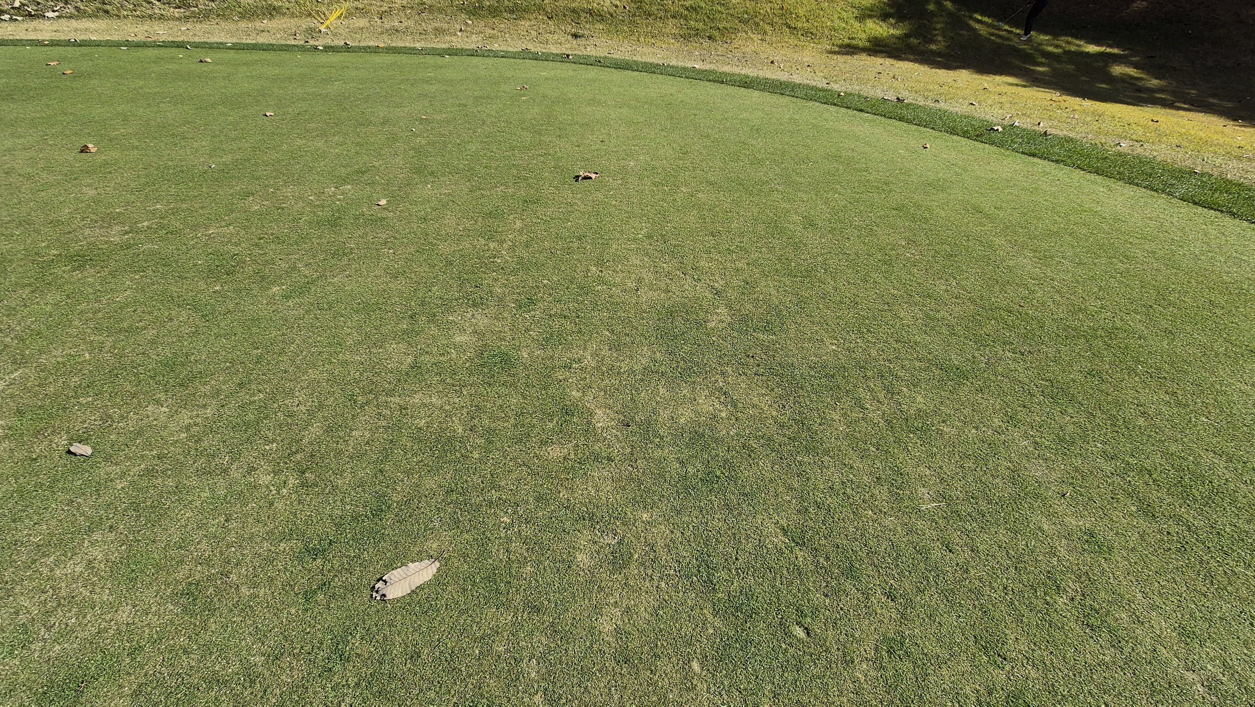 세종에머슨cc 밸리-마운틴 그린관리상태