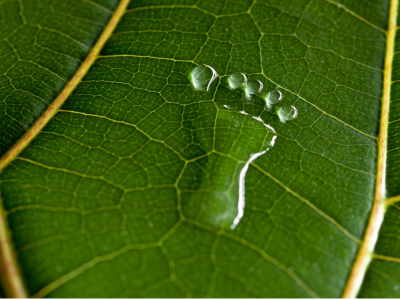 BDSM 테스트 성향 테스트 심층 심리테스트 아직도 안해보셨나요?