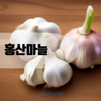 홍산마늘 효능 수확시기 재배법 주아 정리 정보_22