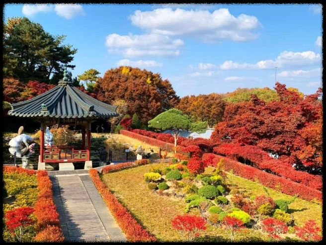 세종 베어트리 파크 단풍축제 - 입장료 싸게 사는 꿀팁