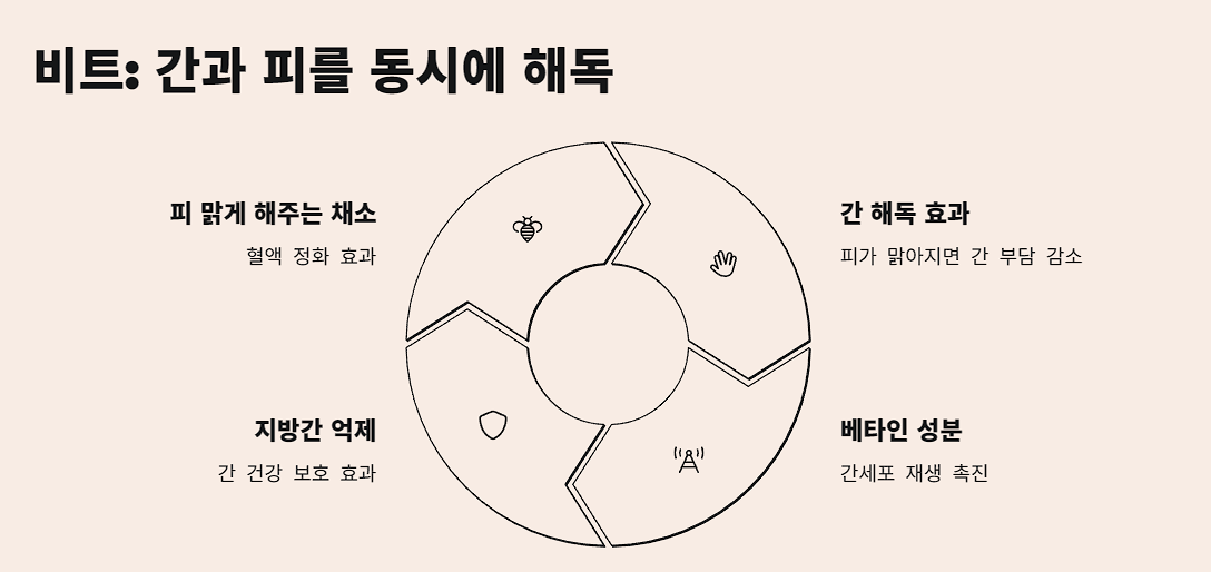 비트: 간과 피를 동시에 해독