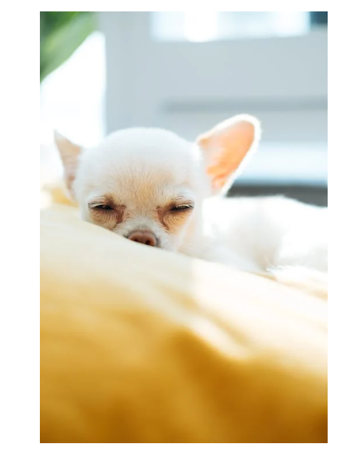 중년 여성 수면장애 완화법 추천