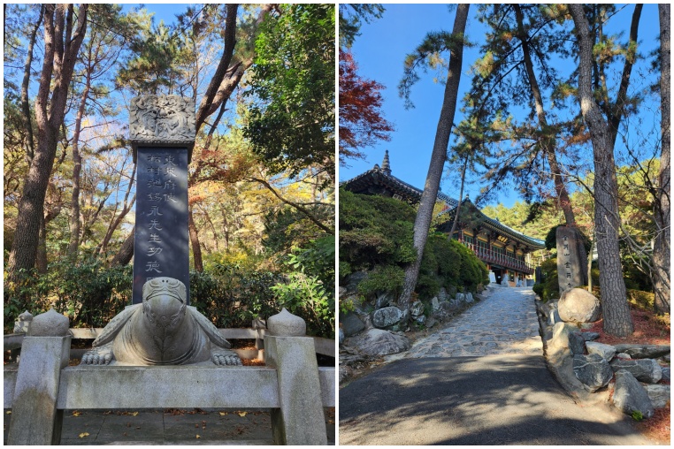 금강공원