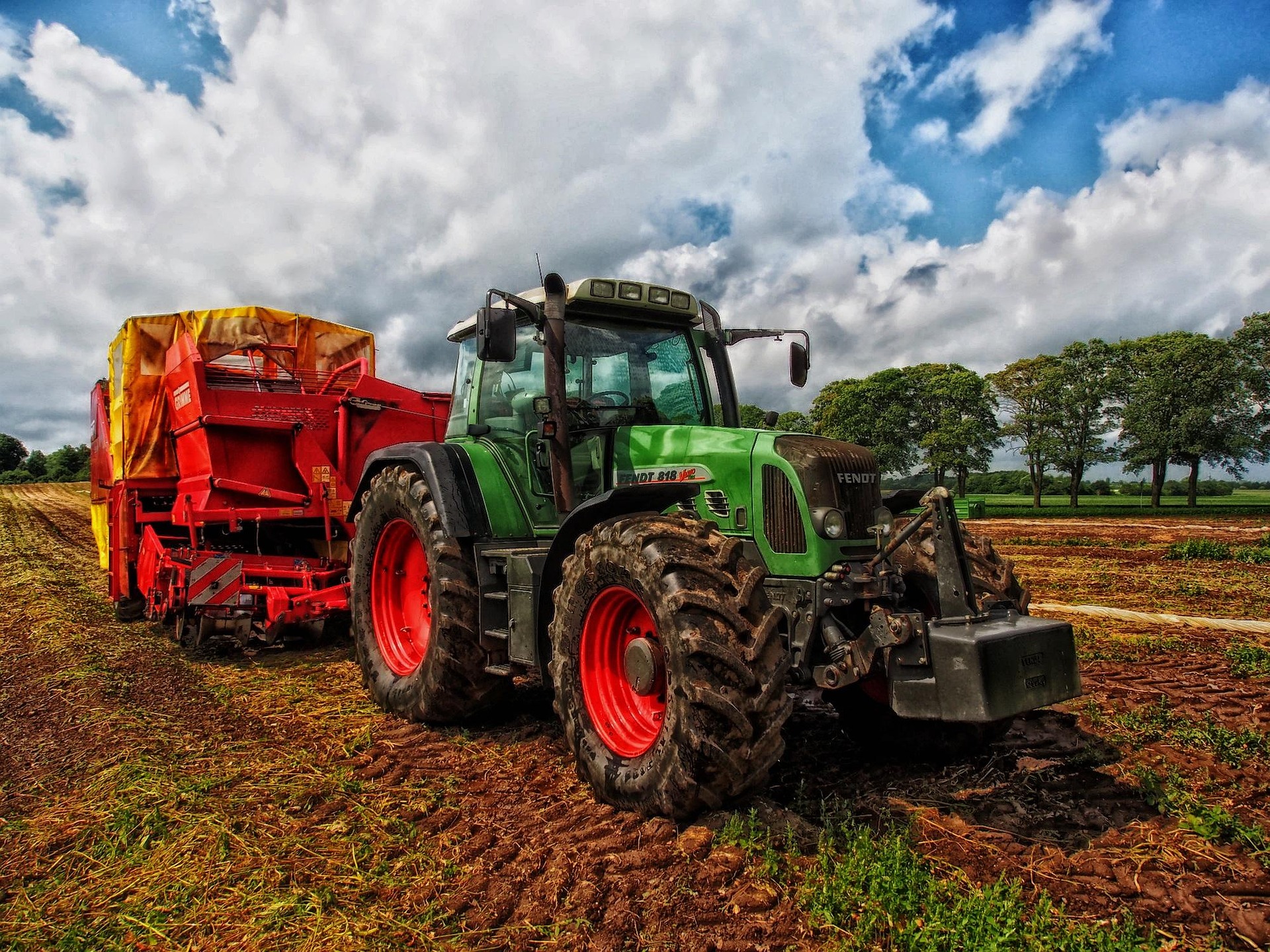 Crop Cultivation Under Agrivoltaic System