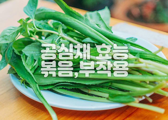 공심채가 접시 위에 놓여져 있는 이미지