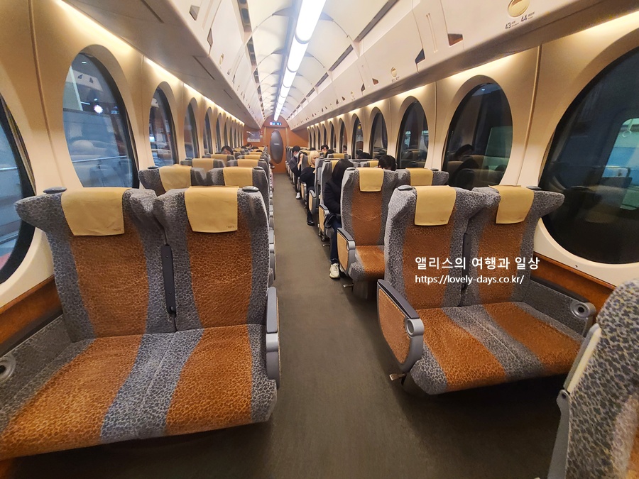 라피트 특급열차 간사이 공항에서 난바역 위치 시간표 가격 예약방법 정리