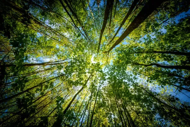 국립 운장산자연휴양림 예약