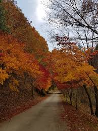 통고산 자연휴양림