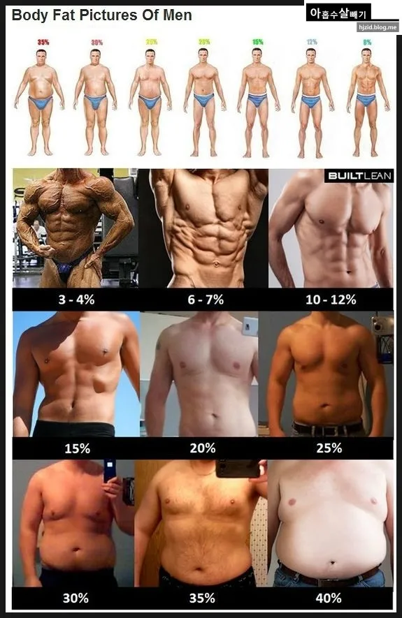 40대 여자 체지방률 평균 20~25% 계산 방법 측정법 다이어트_2