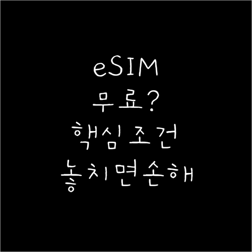 알닷 eSIM 무료 개통 조건과 주의..