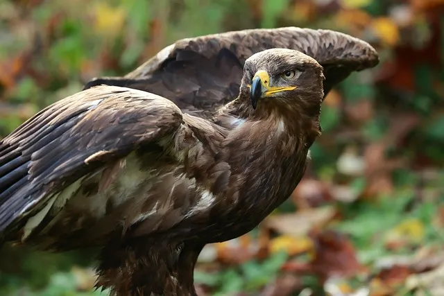 장마 예상 기간 2025년_8