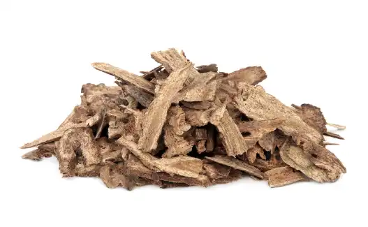 칡즙 효능 및 복용시 주의점