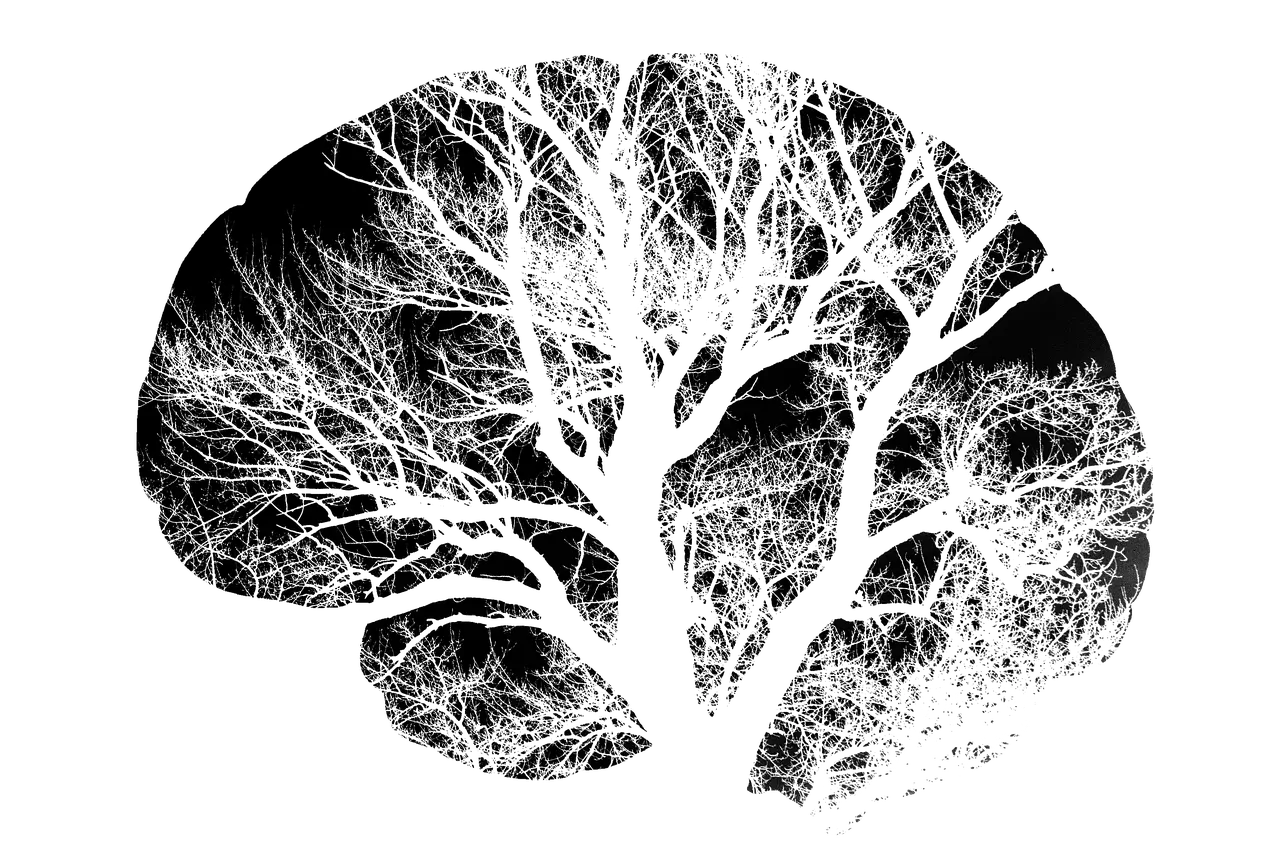 두뇌 건강과 인지 기능 향상을 위한 생활 습관 및 영양 관리 전략