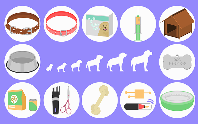 강아지용품