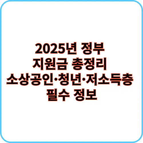 정부 지원금 썸네일 이미지