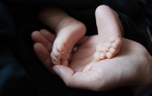 부모급여 관련 사진