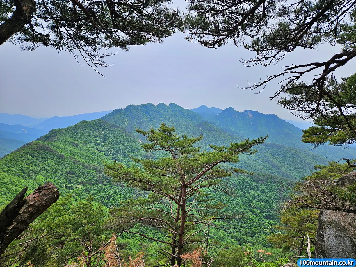 928봉 조령산 신선암봉