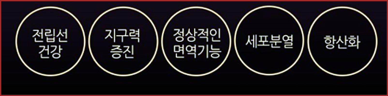 이만기 쏘팔메토