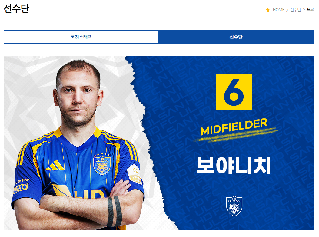 축구 다리얀 보야니치