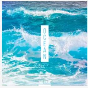 채보훈 프로필 (THE VANE · 퍼플레인 보컬)