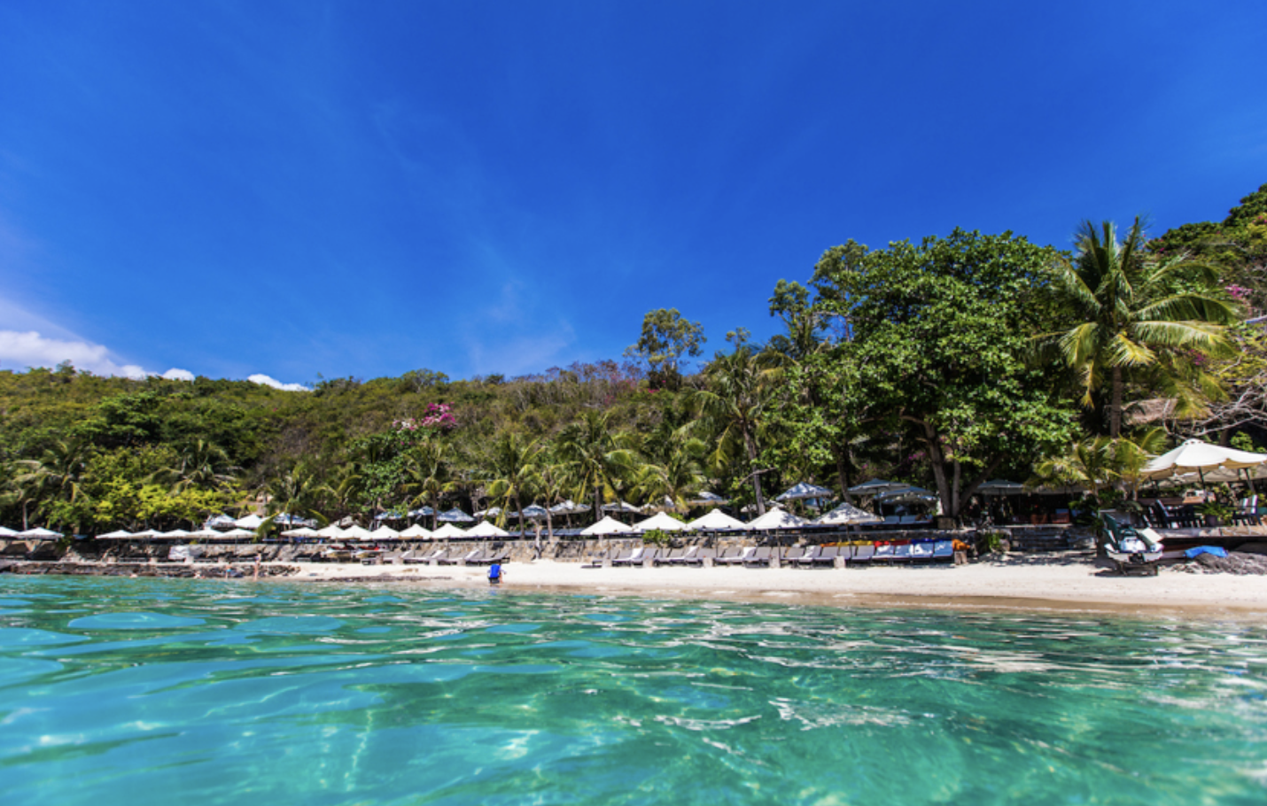 나트랑 여행 정보