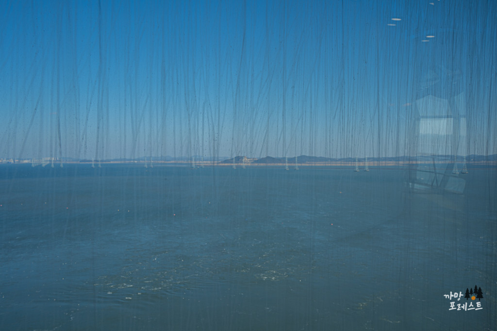 시화나래 휴게소 달전망대 경치