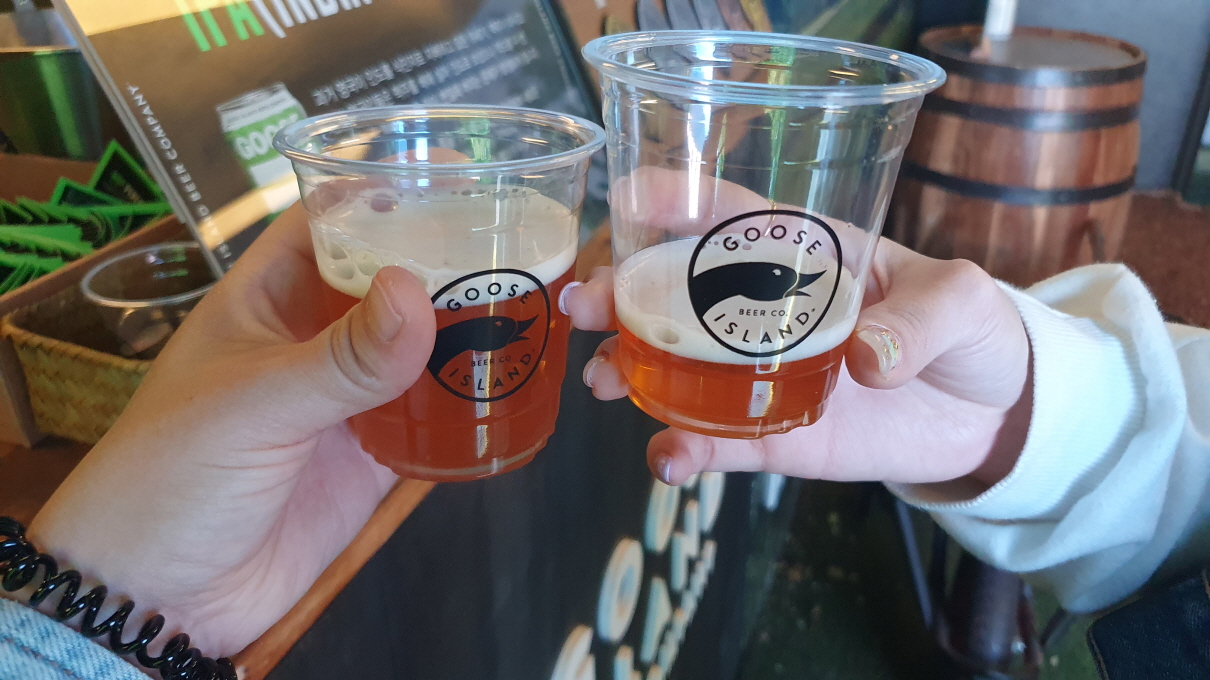 구스아일랜드-27