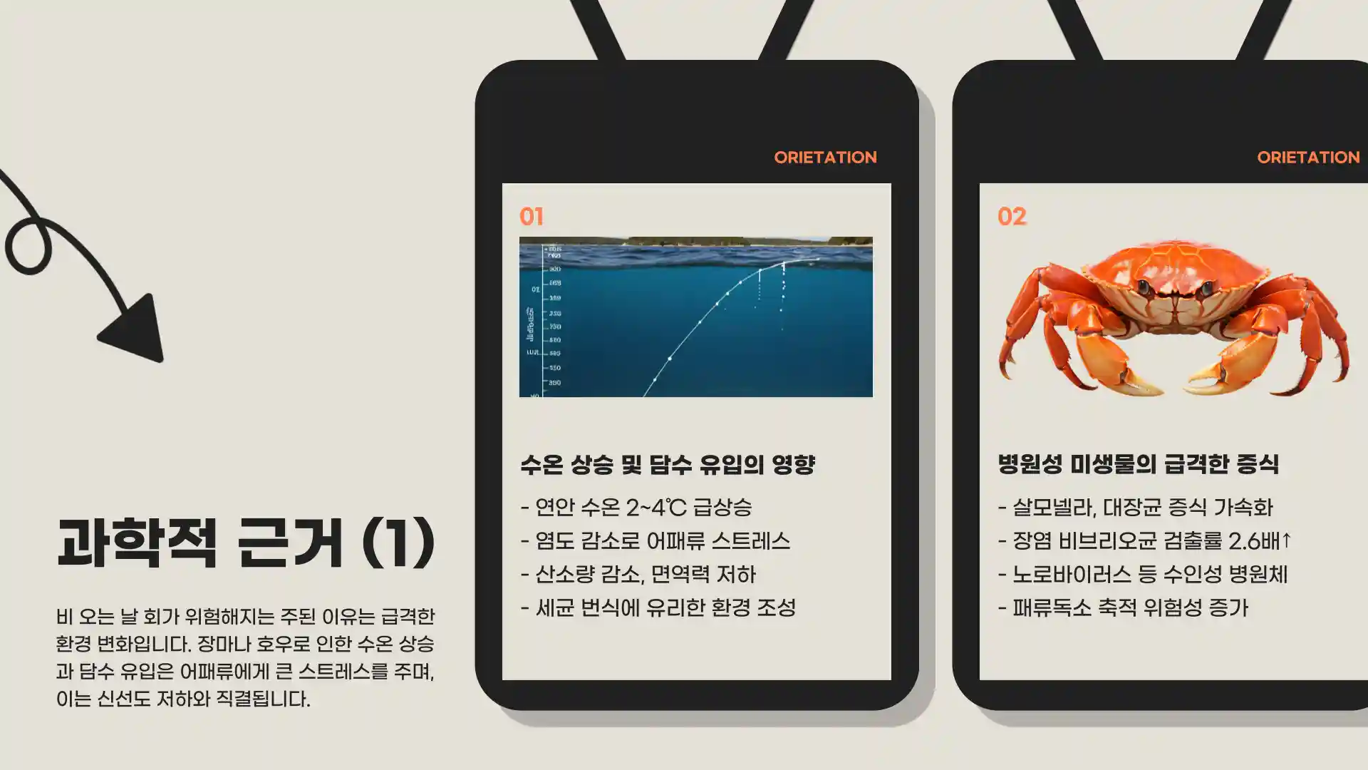 비오는날 회를 먹지말아야하는이유