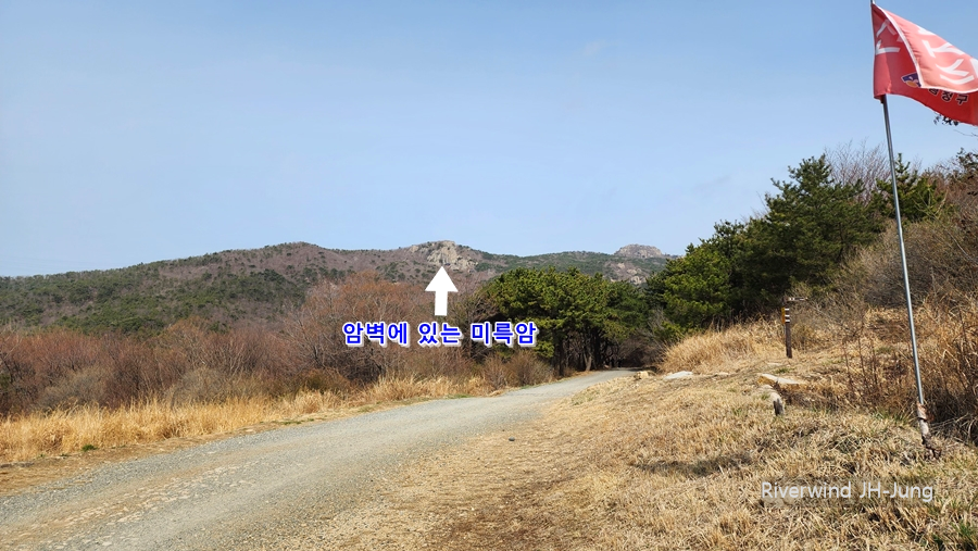 디카 초망원 사진