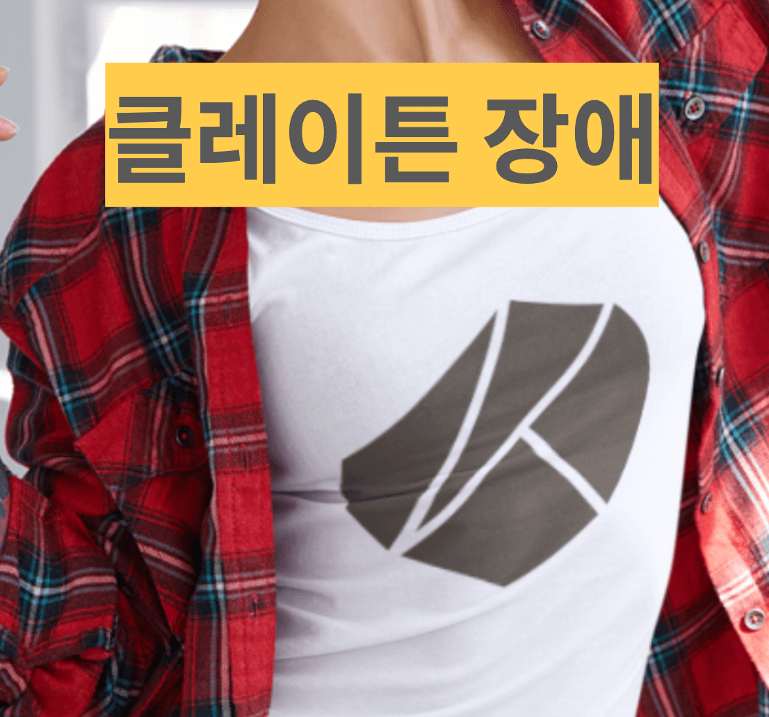 클레이튼-장애-현황