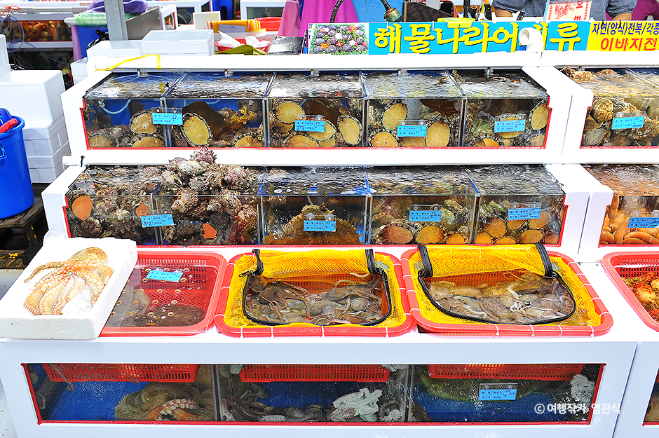 여수수산시장 활어 수족관