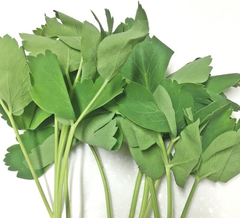 봄나물 종류와 효능 BEST6