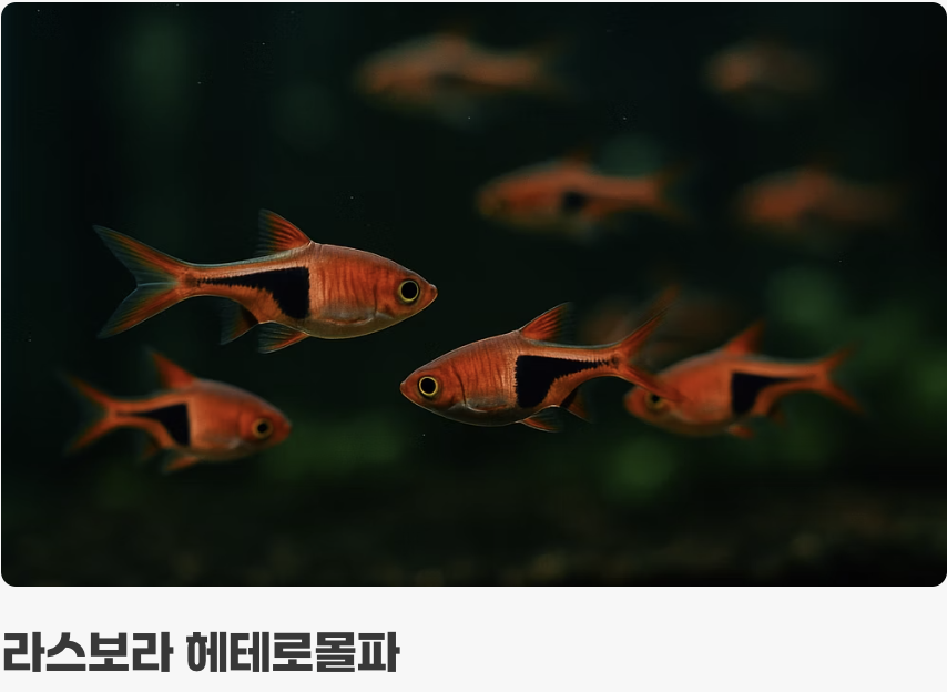 BEST 3 &amp; 4: 중층을 아름답게 수놓을 신사들