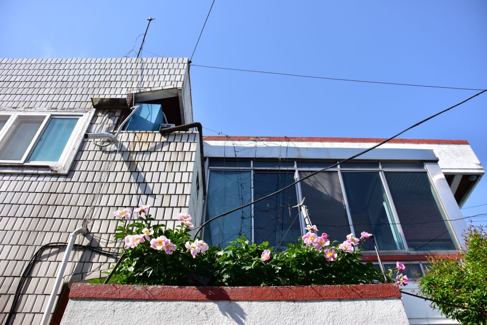 사상구 감전동