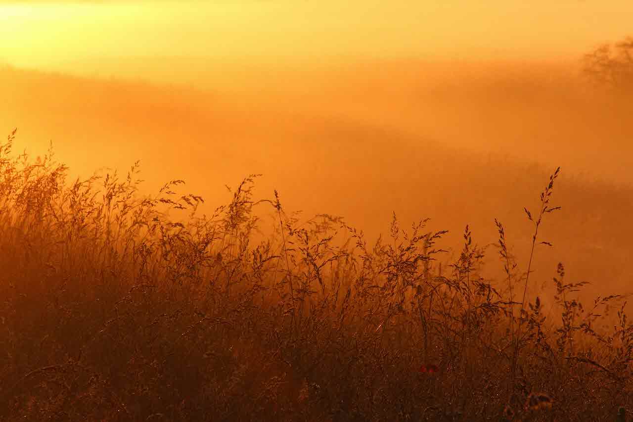 할 수 있다고 믿는 순간, 이미 절반은 이룬 것이다