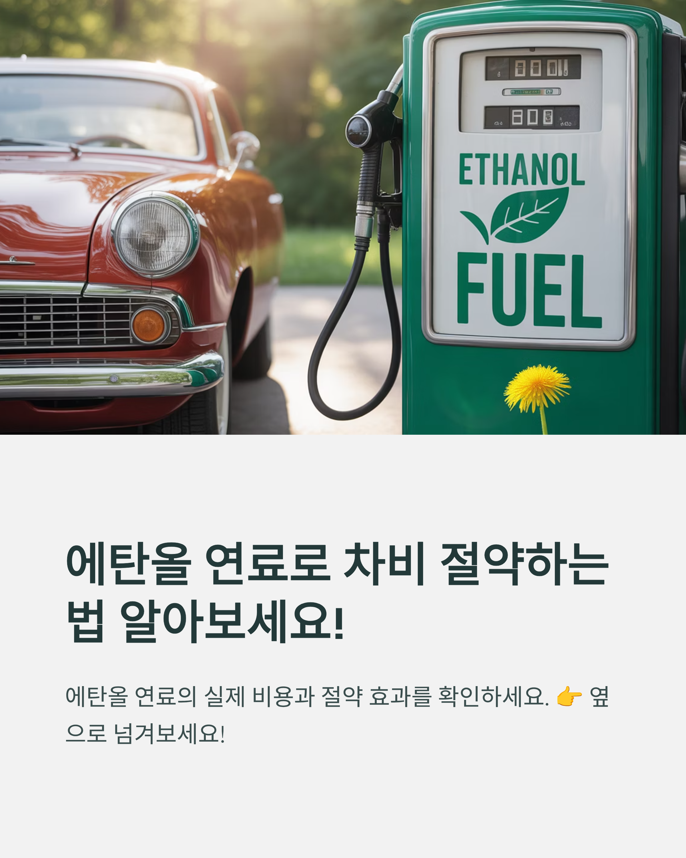 자동차 에탄올 연료 장착비 &amp; 절약 효과