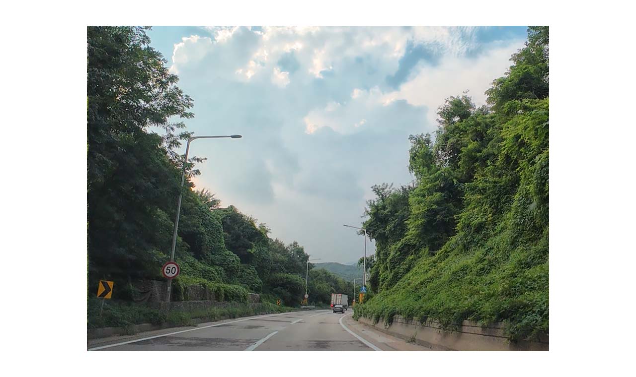 Alt 속성 문제 해결 설명 이미지