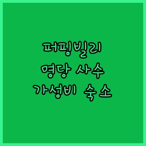 멜버른 증기기관차 퍼핑빌리 명당 사수..