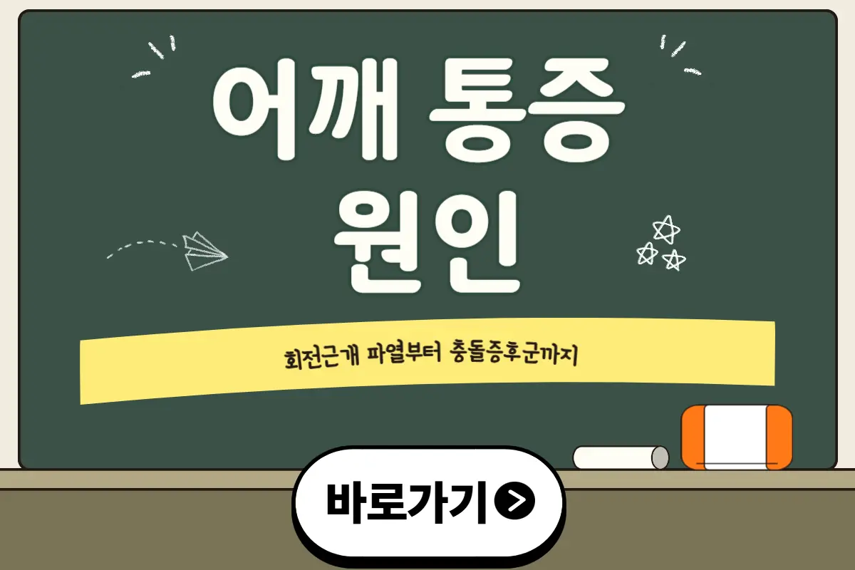 어깨 통증 원인 총정리 : 회전근개 파열&middot;오십견&middot;충돌증후군 차이와 치료법
