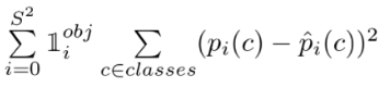 Classification Loss