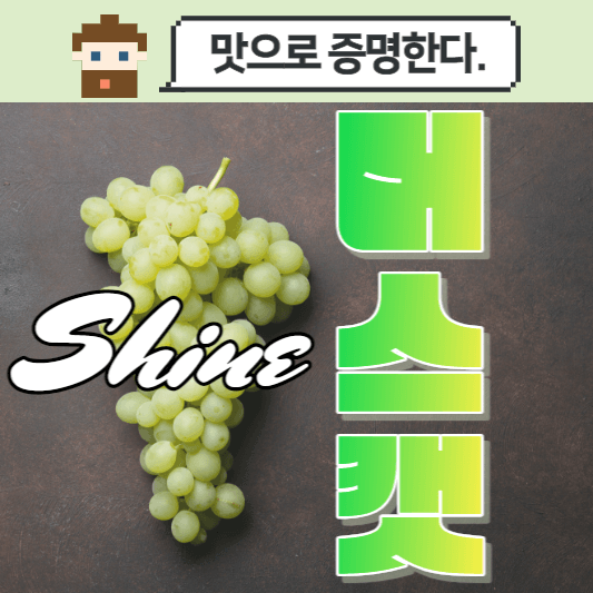 샤인머스캣에 대한 영양 등의 포스팅임을 알려주는 썸네일