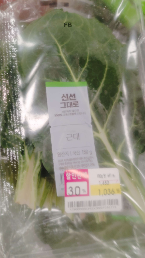 근대