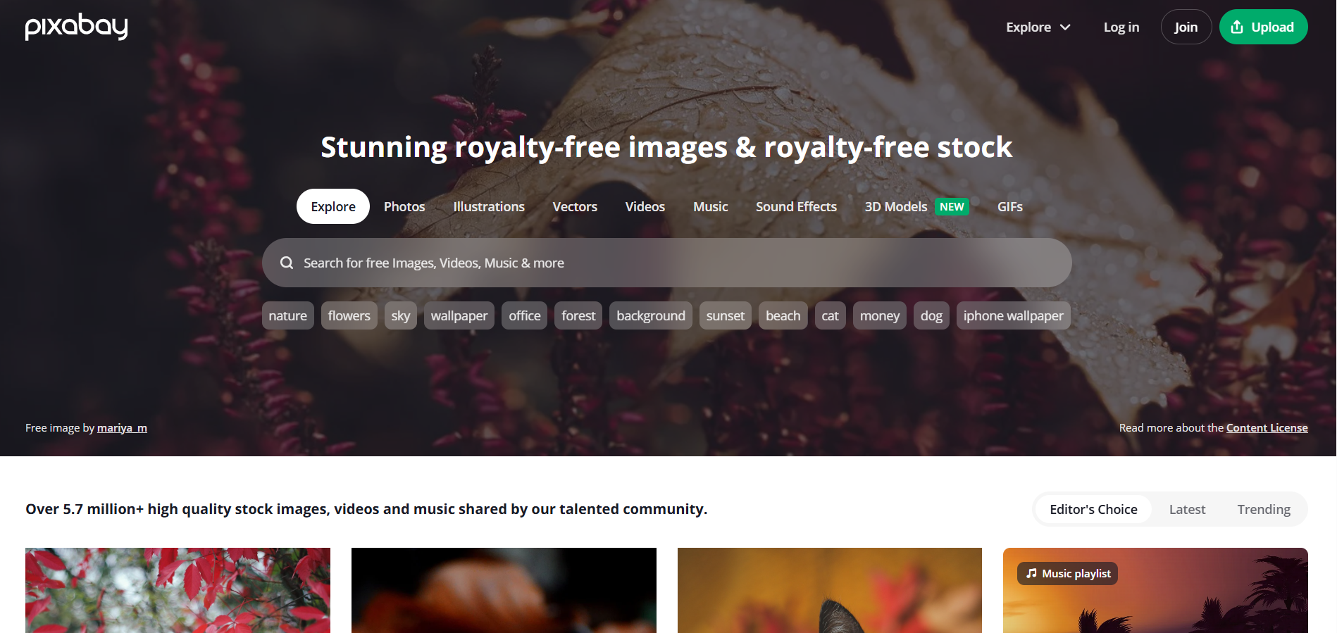 픽사베이 메인 화면 캡쳐